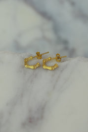 Bamboo Gold Hoops