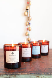 Mango Bali Coconut Amber Glass Candle