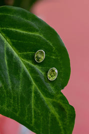 Peridot Elly Studs