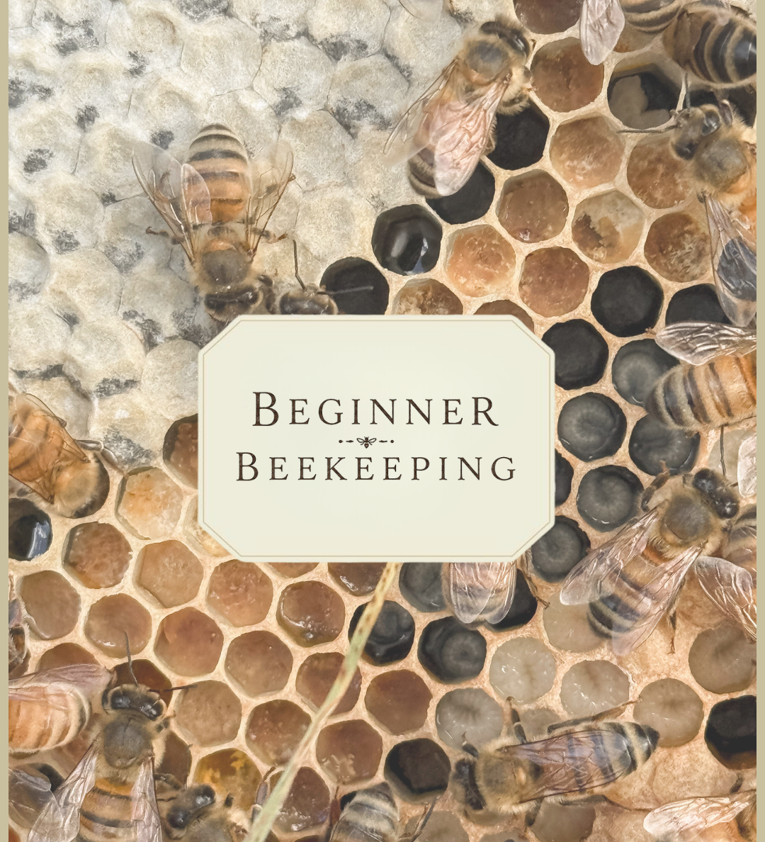 Beginner Beekeeping