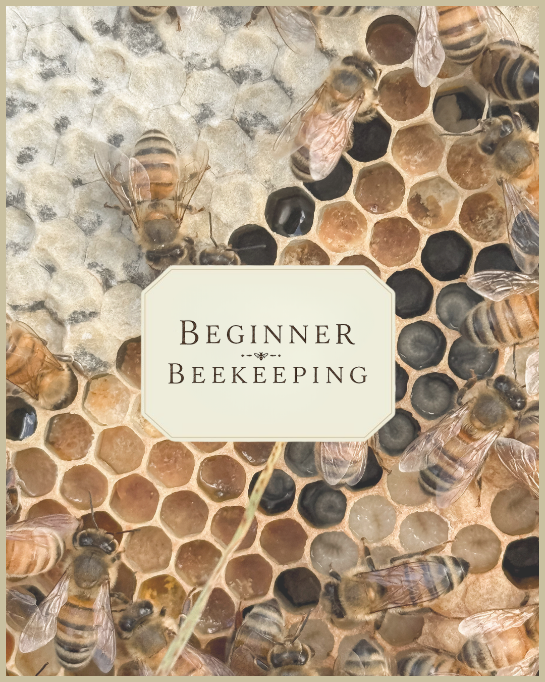 Beginner Beekeeping