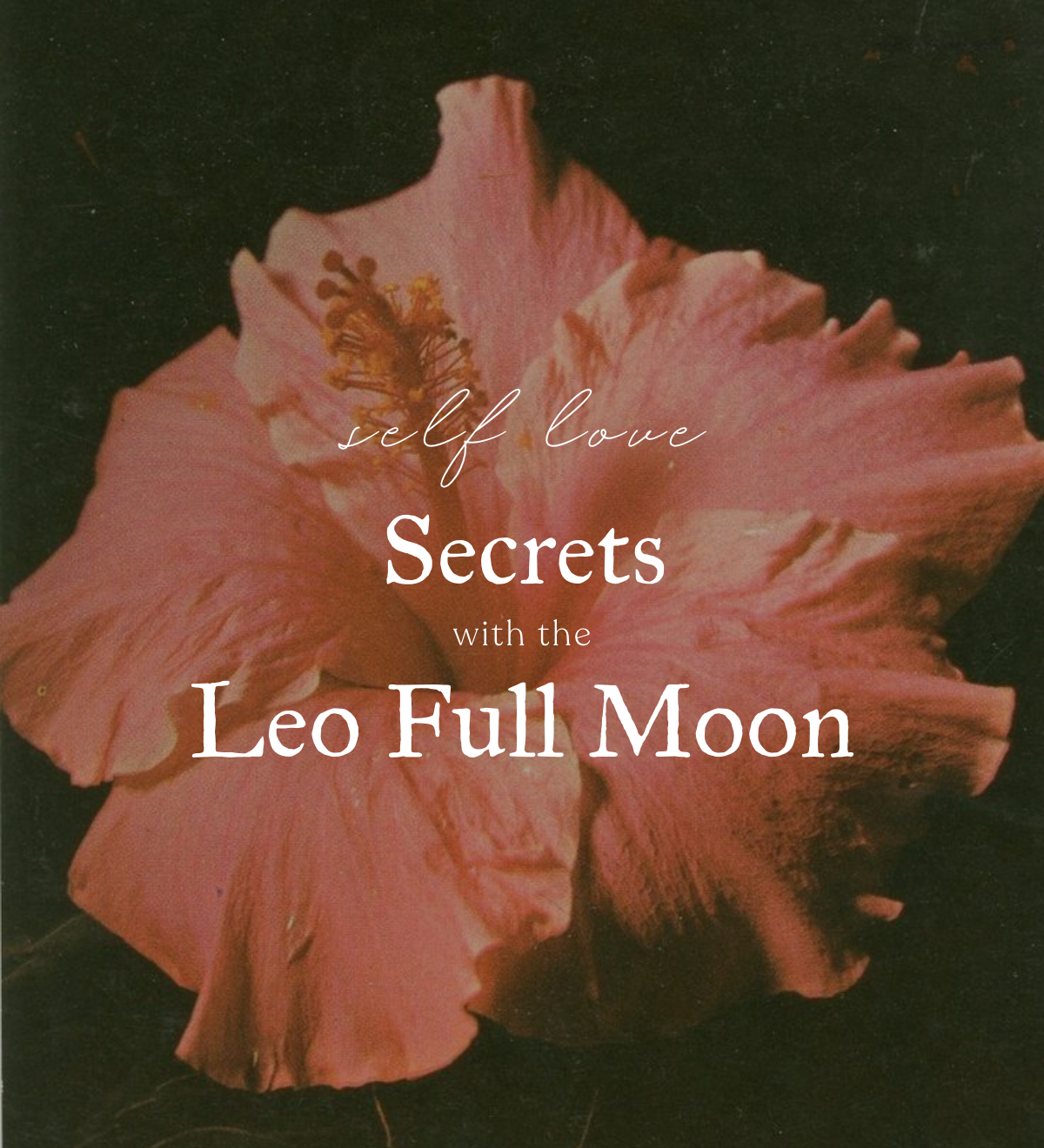 Self-love Secrets with the Leo Full Moon