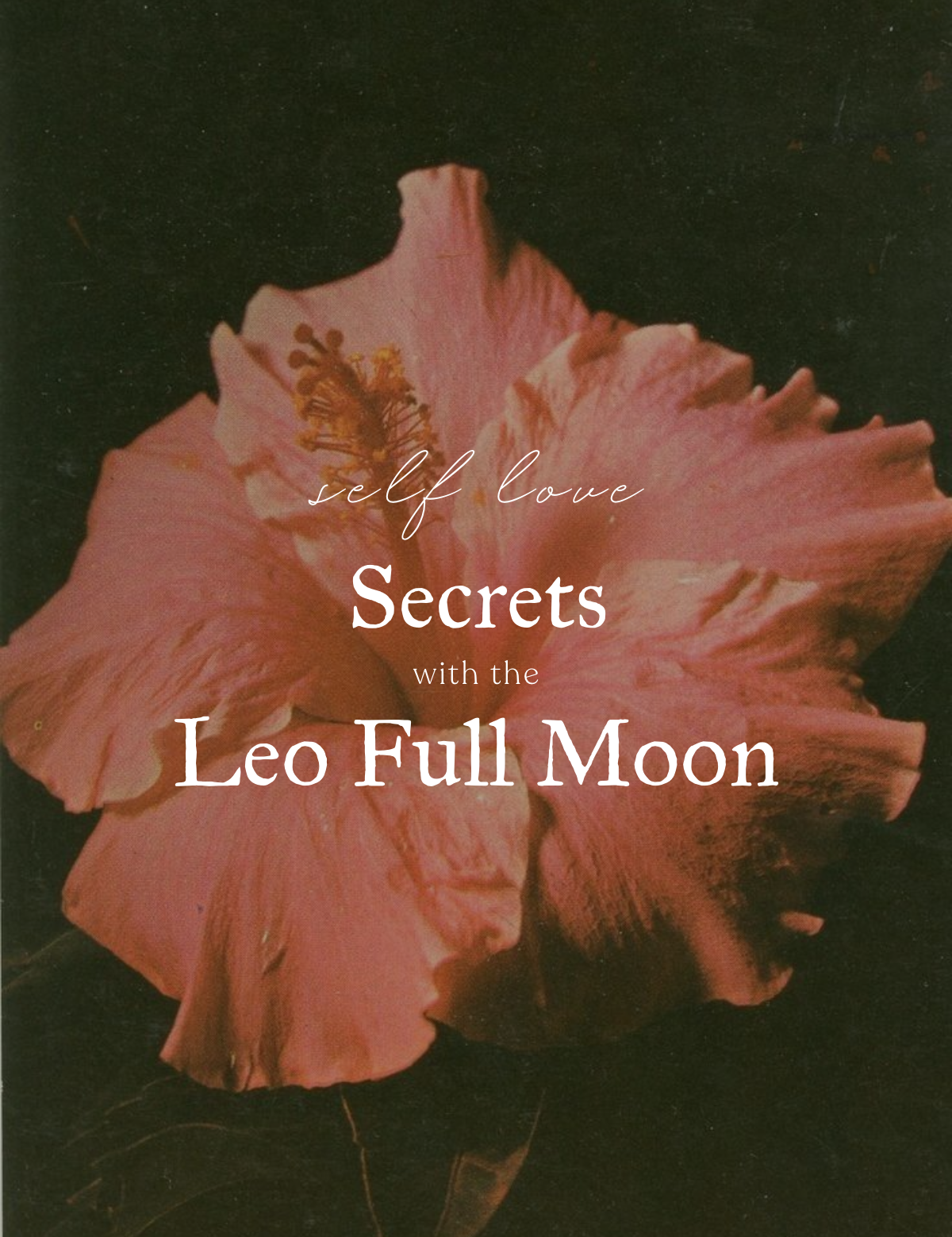 Self-love Secrets with the Leo Full Moon