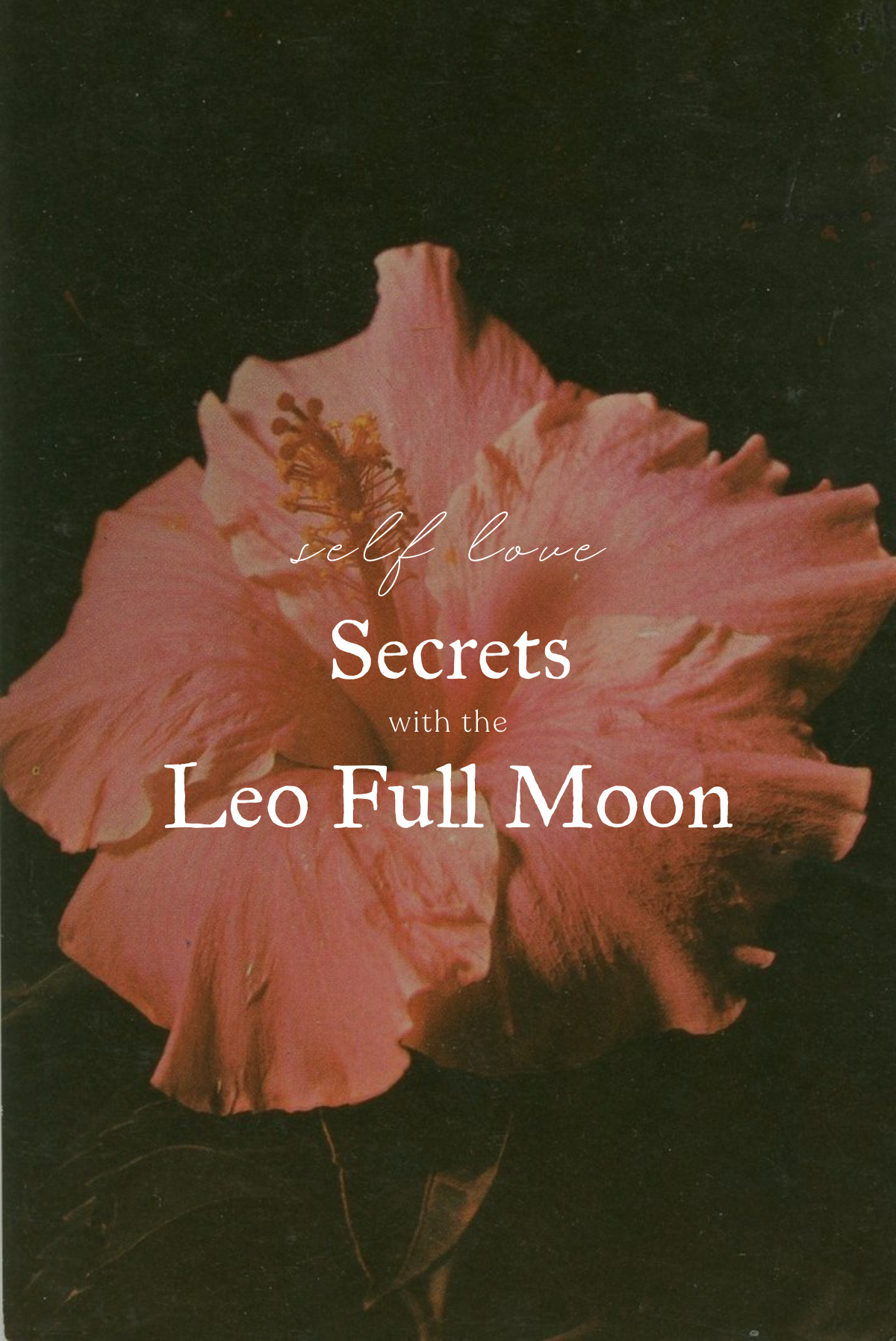 Self-love Secrets with the Leo Full Moon