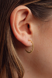 Tippia Gold Hoops