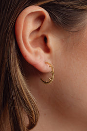 Tippia Gold Hoops