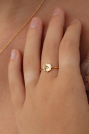 Noemi Rainbow Moonstone Gold Ring