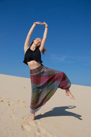 Anisha Pants