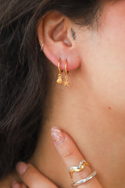 Gold Clam & Star Earrings