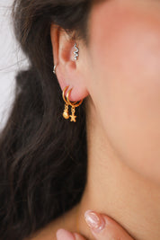 Gold Clam & Star Earrings