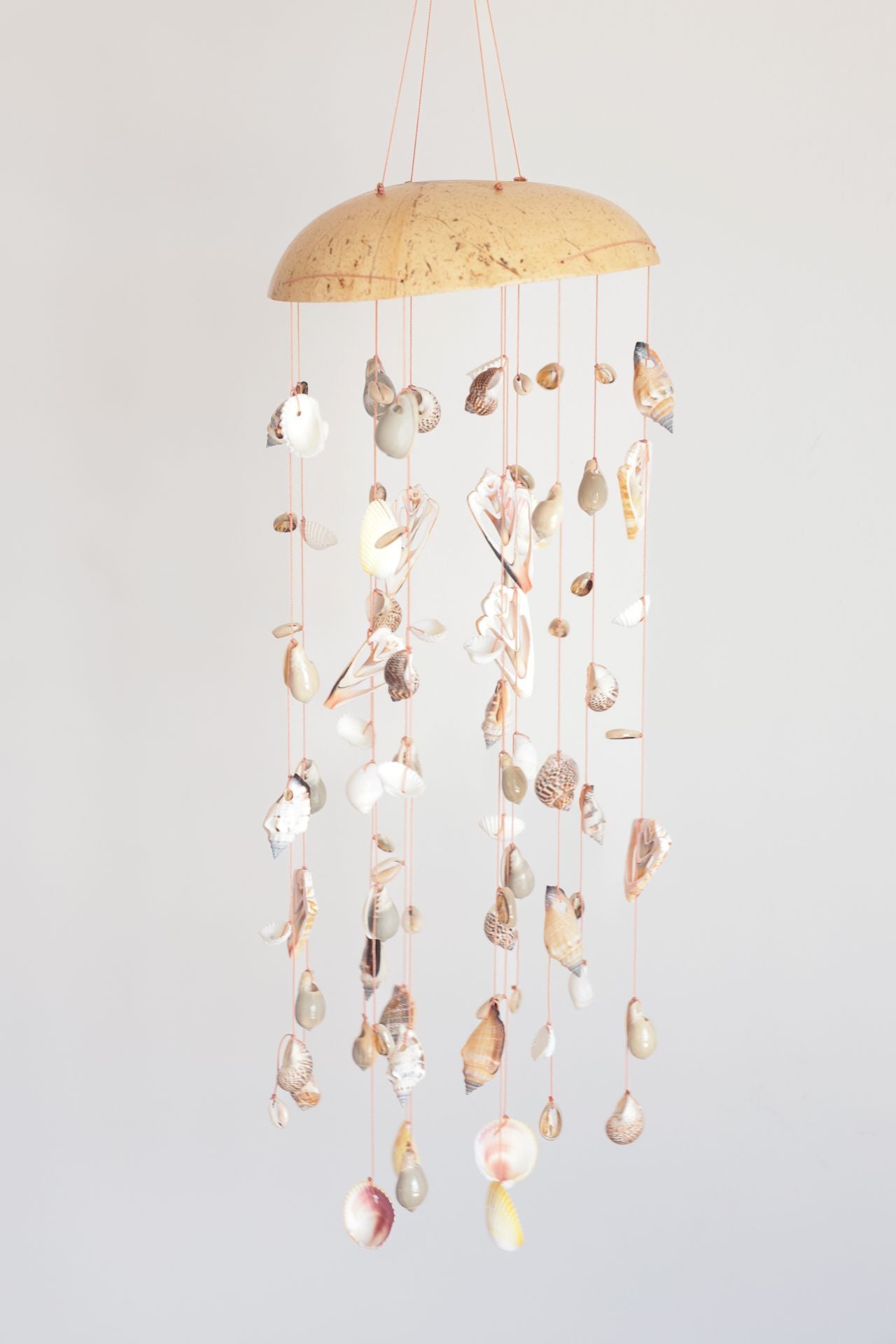 Seashells Windchime