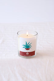 Cactus Blossom Glass Candle