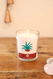 Cactus Blossom Glass Candle