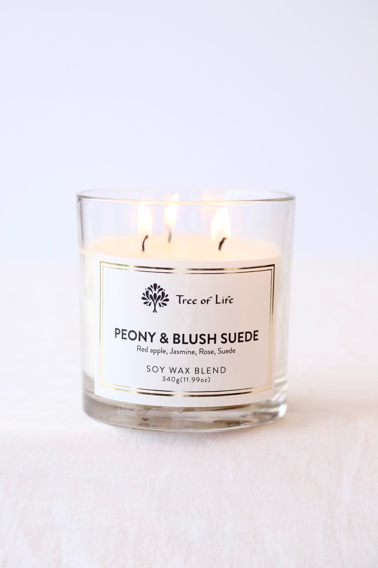 Peony and Blush Suede 3 Wick Candle