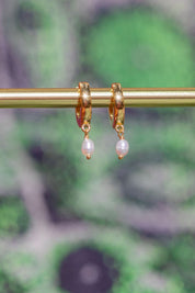 Gold Pearl Hoop Drops