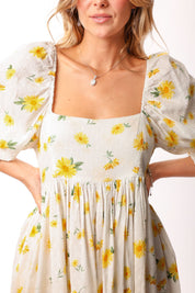 Blue Bell Dress