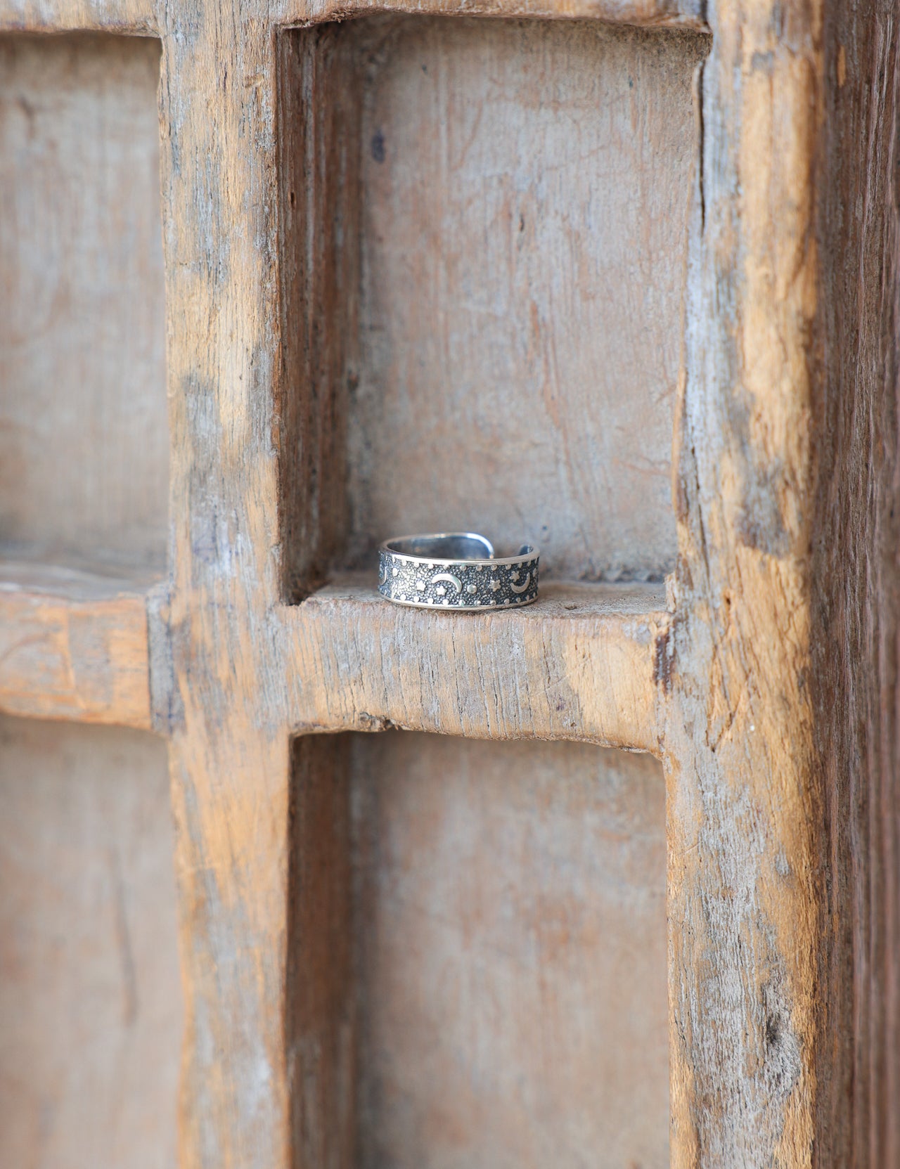 Silver-361.jpg