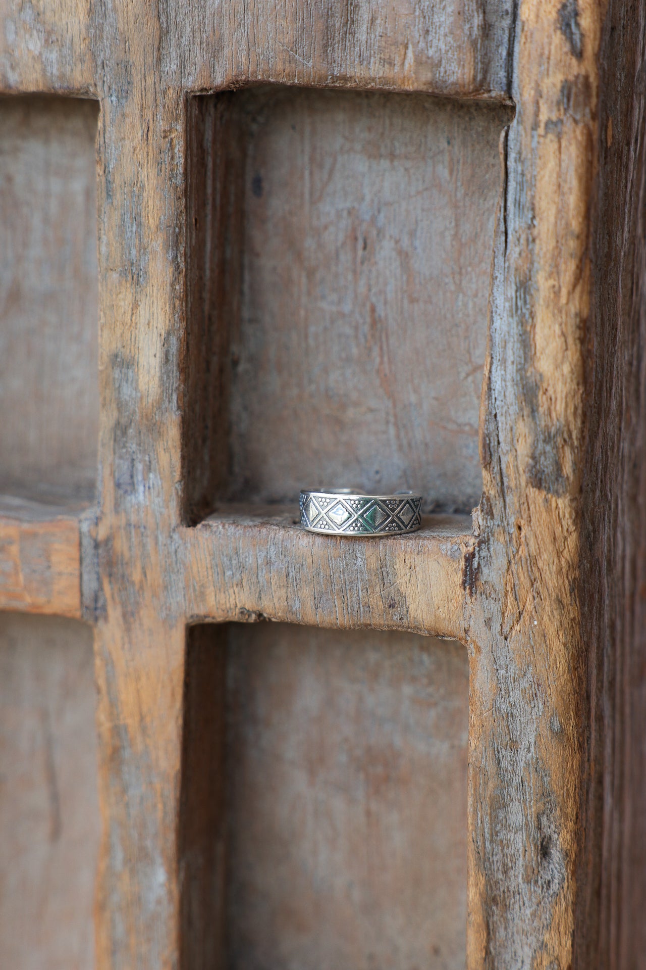 Silver-387_939ac9ea-6ed1-428e-891a-74e0ad0be1b1.jpg