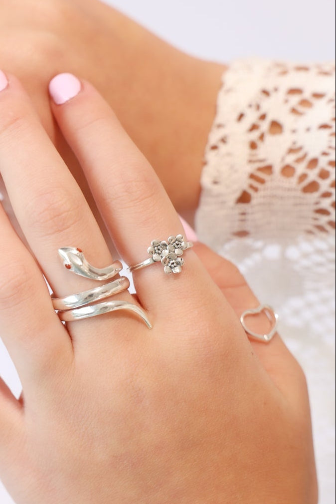 Silver-585.jpg