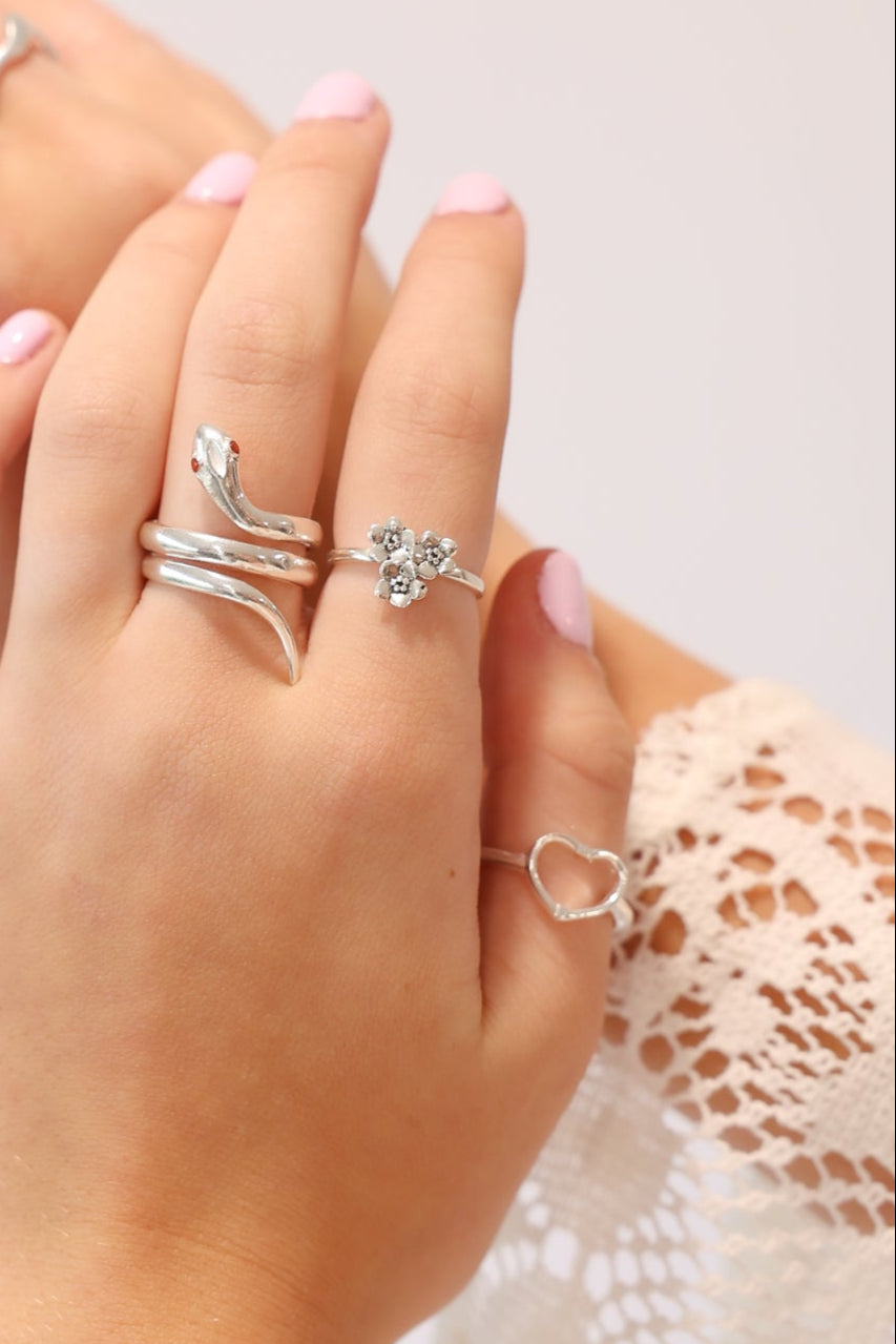 Silver-588.jpg