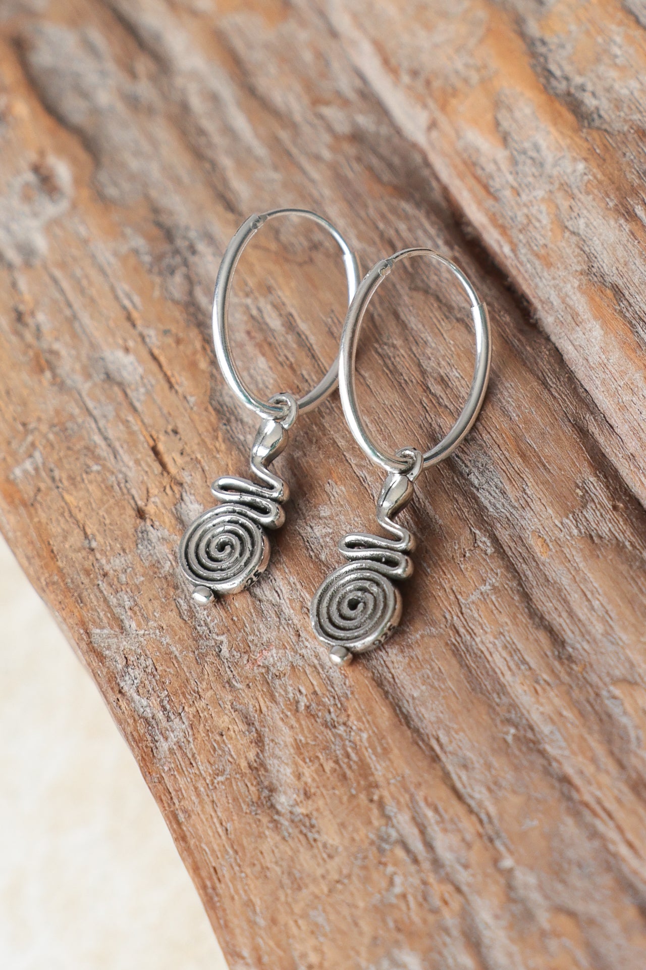 Spiral of Life Earrings