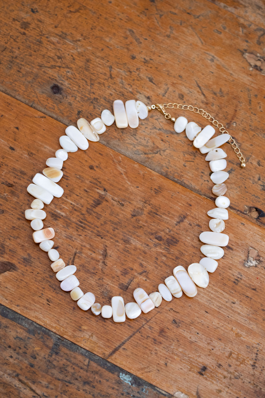 Shell chip Necklace