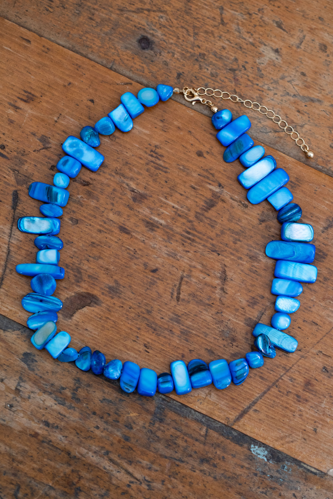 Blue Shell Chip Necklace