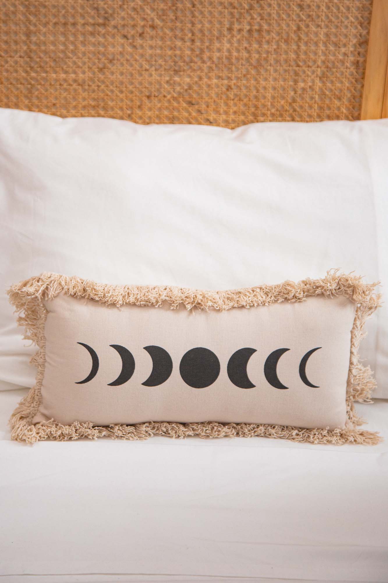 Phases Of The Moon Cushion