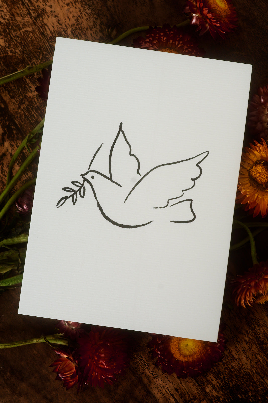 Peace Dove Greeting Card