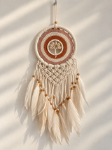 Paiping Tree Croche Dreamcatcher
