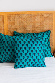 Arohi Sari Cushion Cover