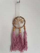 Agel Tree Cowry Dreamcatcher