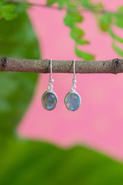 Labradorite Delar Earrings