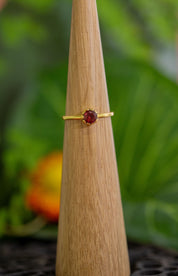 Nala Tiny Garnet Ring